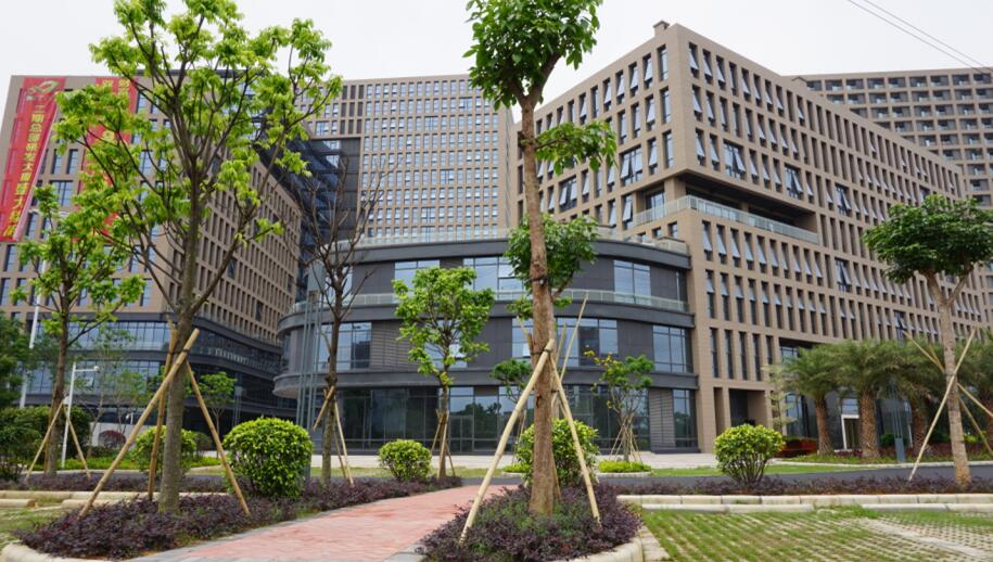 成立广州分公司